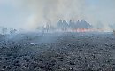 Pali się torf w Paterku. Katastrofalna sytuacja może potrwać kilka dni [WIDEO]