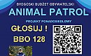 Chcą powołać „Animal Patrol”  - to już ostatnie dni głosowania na projekty w budżecie obywatelskim