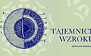 Nie uwierzysz, co potrafi ludzkie oko! Nowa wystawa w centrum Bydgoszczy otwiera oczy na świat!