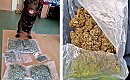 Milky wywąchał ponad 1,7 kg narkotyków! Przesyłki miały trafić do paczkomatów w całym regionie