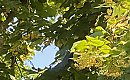 Wzrost temperatur aż do burzy kończącej cykl [POGODA]
