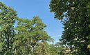 Cyrkulacja zachodnia [POGODA]
