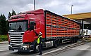 Pijani kierowcy na autostradzie A1! Aż 8 ciężarówek jechało „na podwójnym gazie”