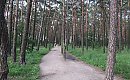 Park na Kapuściskach do remontu! Mieszkańcy wywalczyli zmiany, ruszają prace