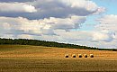 Pod panowaniem niżów [POGODA]