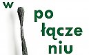 Z lasu prosto do Bydgoszczy! Zapałka, łąka i Stażewski – nowa wystawa przy Gdańskiej 3