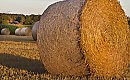 Dziś będzie chłodno, ale od jutra coraz cieplej [POGODA]