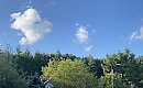 Lato - kontynuacja [POGODA]