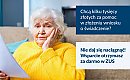 Nowy biznes na cudzej krzywdzie. Pośrednicy liczą krocie za wnioski, które ZUS wypełni za darmo