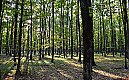 Przewaga chmur, bez większych opadów [POGODA]