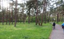 Wyborcza szansa dla mieszkańców Leśnego – zdecyduj o przyszłości swojej okolicy!