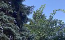 Pochmurno, z przelotnymi opadami [POGODA]