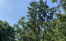 IMGW ostrzega: Upały atakują Kujawsko-Pomorskie!