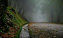 Dużo chmur, ale bez deszczu [POGODA]