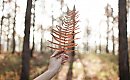 Ciepło, lecz coraz bliżej frontu [POGODA]