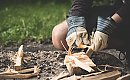[KOMENTARZ TYGODNIKA] Harcerz też nosił nóż. Czego brakuje w brytyjskim ostrzeżeniu?