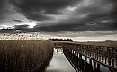 Chłodny poniedziałek, we wtorek cieplej [POGODA]