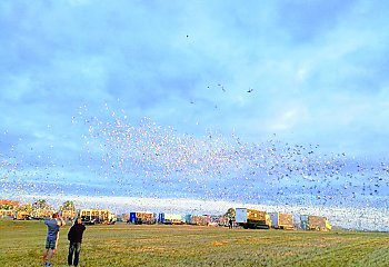 Ponad 70 tys. zł z lotu gołębi ofiarują na budowę kościoła we Lwowie 