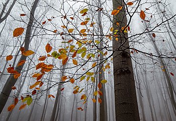 Ostatni zimny dzień [POGODA]