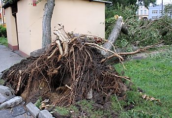 Miasto liczy straty po nawałnicy