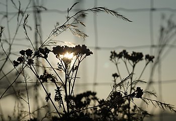 Przebłysk słońca wśród jesiennej zimy [POGODA]