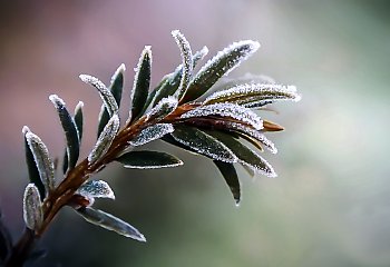 Zima wiosną czyli marzec figlarzec [POGODA]