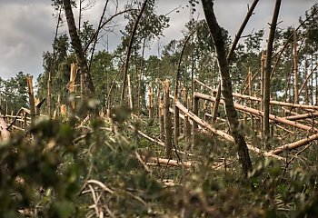 Sprzątanie po nawałnicy potrwa nawet dwa lata