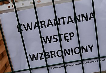 Rekord Polski! 80 dni kwarantanny i niewiarygodne testy