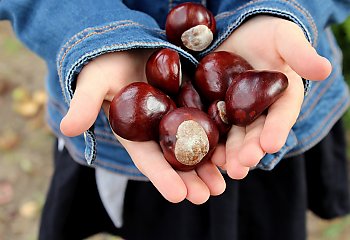 Zbliża się ocieplenie, ale jeszcze musimy przeczekać kilka chłodnych dni [POGODA]