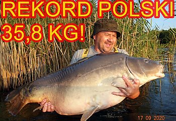 Nowy wędkarski rekord Polski! 35,8 kg karpia