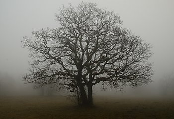 Pochmurna szaruga trwa [POGODA]