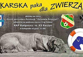 Zagrają dla psich seniorów. Druga edycja „Piłkarskiej paki dla zwierzaka”