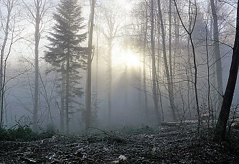 Powoli będzie się ocieplać [POGODA]