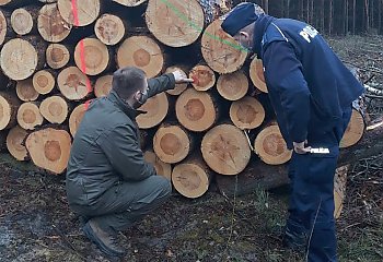 Fordońscy dzielnicowi i strażnicy leśni kontrolują lasy w regionie