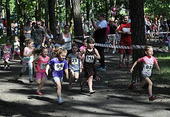 Na Leśnym będzie nowy/stary park