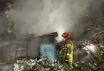 Pożar altany przy ul. Sułkowskiego [ZDJĘCIA]