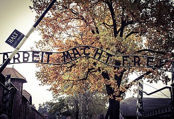 Skandaliczny gest przy bramie Auschwitz-Birkenau. Turystka tłumaczy to żartem