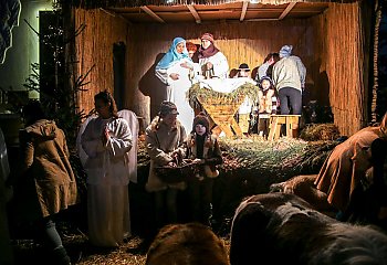 Święta Rodzina, pasterze, anioły i zwierzęta. Żywy żłóbek w Fordonie [ZDJĘCIA]