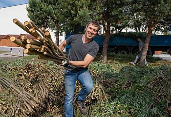 Międzynarodowe warsztaty wiklinowe na Politechnice Bydgoskiej