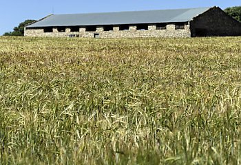 Delegacja PE uda się na granicę polsko-ukraińską, aby ocenić korytarze żywnościowe