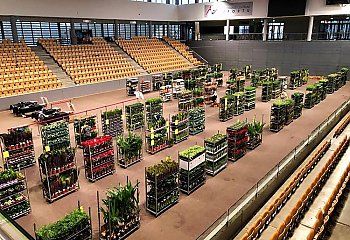 Już w ten weekend, w bydgoskiej hali Arena odbędą się targi roślin doniczkowych