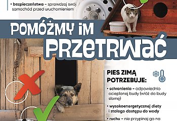 Zima to trudny czas dla zwierząt