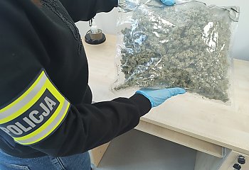 Pół kilograma narkotyków zabezpieczone podczas kontroli drogowej