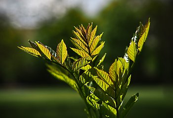 Czyżby ładny weekend? [POGODA]