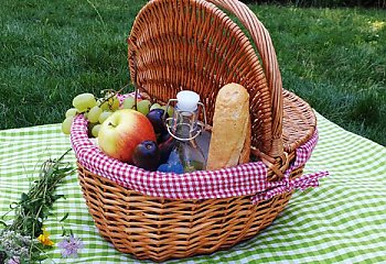 Na piknik najlepiej do Ostromecka 