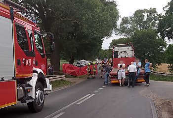 Znowu śmierć na drodze. Kujawsko-pomorskie niechlubnym liderem