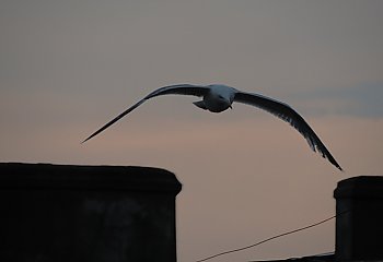 Chłodna stabilizacja [POGODA]