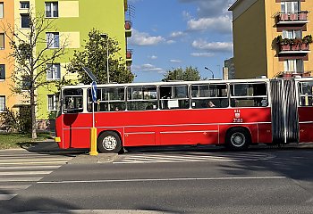 Zabytkowe autobusy na liniach w Bydgoszczy [ROZKŁADY JAZDY]