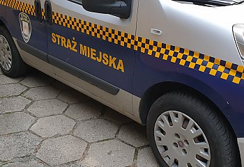 Strażnicy złapali chuliganów, którzy zniszczyli auto