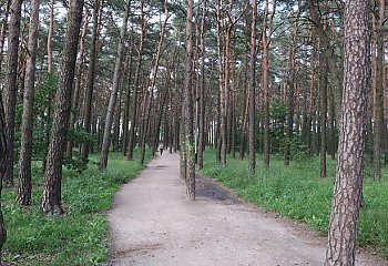 Na Kapuściskach wypięknieje park. Będą wygodne alejki